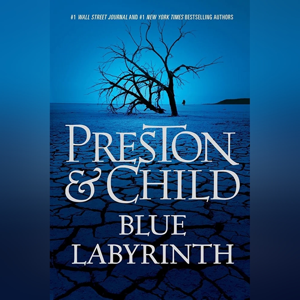 📚 Blue Labyrinth Book